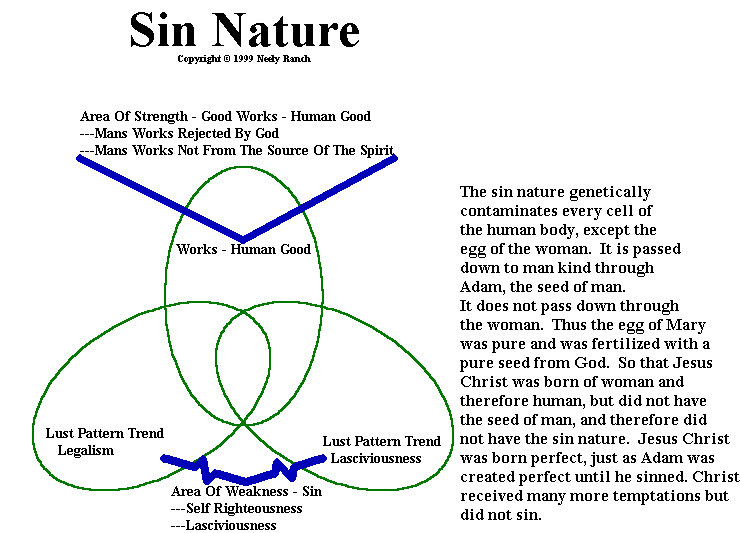 Sinful Size Chart